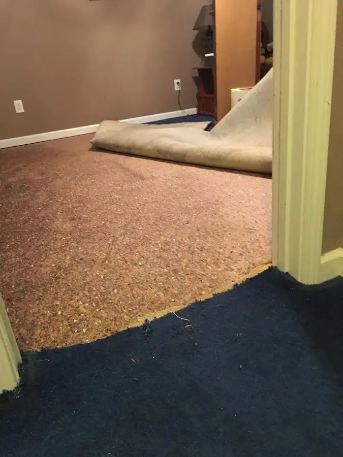 Carpet pad removal revealing water damage during Drying & Dehumidification in Stonegate
