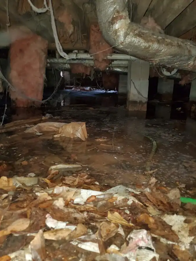 Crawl space flood assessment for Commercial Water Damage Restoration in Stonegate